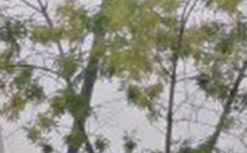 ����(sh��)�á���(y��u)�����簲����Ȧ�����Z34�l