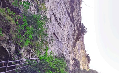 ���֮�С������ҽ�