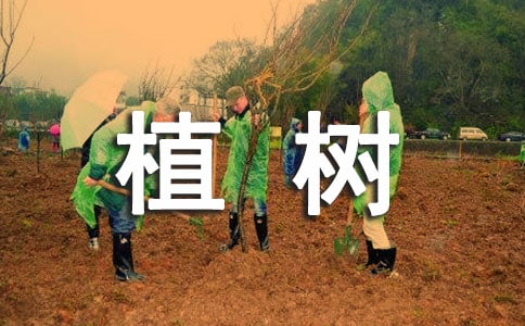 ��ֲ�䡷�̌W(xu��)�O(sh��)Ӌ