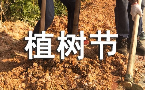 �WУ3.12ֲ�九(ji��)��ӷ���2022��