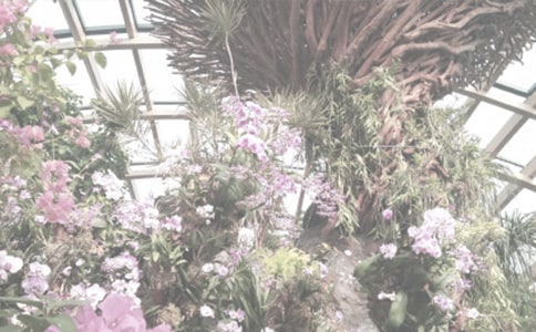 ֲ��@���(hu��)��(sh��)�`��(b��o)��