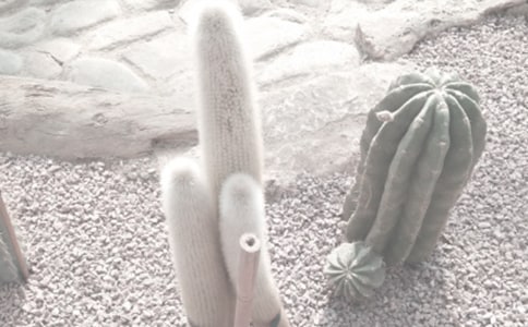 春游植物園作文600字(精選43篇)