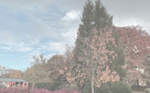 ����ֲ��@����800��