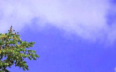 С�W������Ͳͅf(xi��)�h������