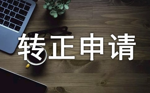 轉(zhuǎn)正申請自我鑒定500字【一】