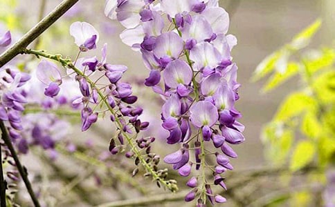 ���ٻ��_��������