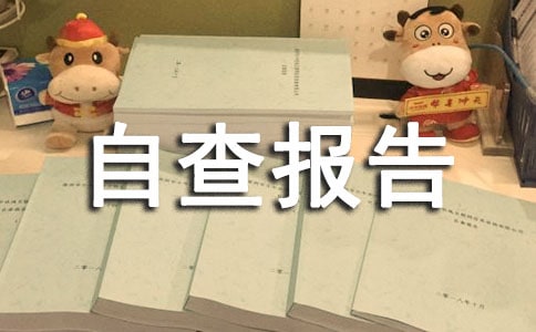 企業(yè)自查報(bào)告(精選15篇)