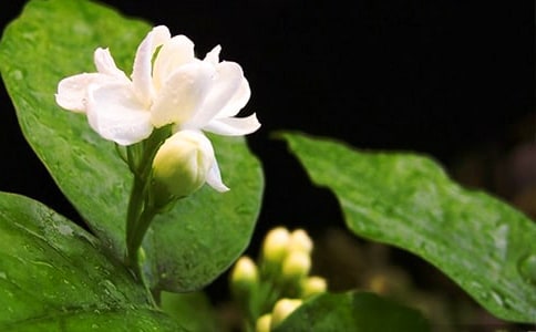 �����_����