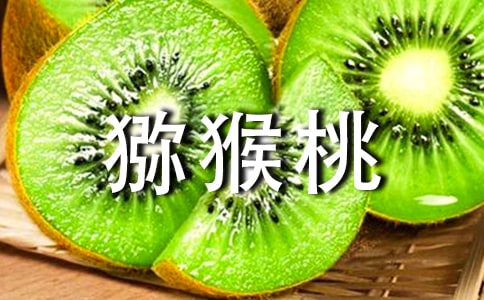 獼猴桃水果作文(精選28篇)