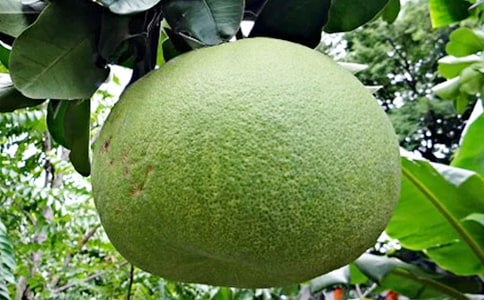 [��(y��u)�x]���ӵ�����