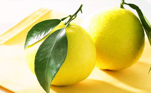 柚子的作文大全15篇