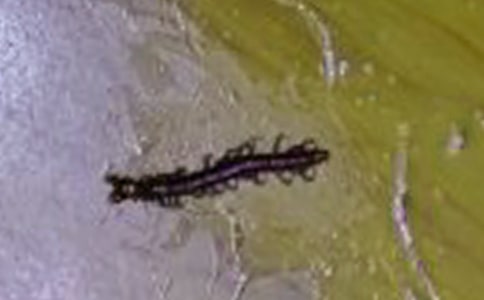 �����ĸ(chu��ng)�µ����Ԣ�Թ��£�ͨ��20ƪ��