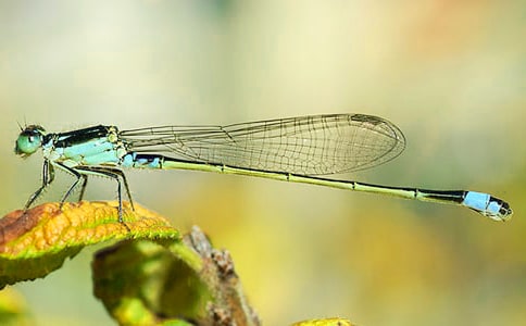 ���ѵ�����400�֣����x28ƪ��