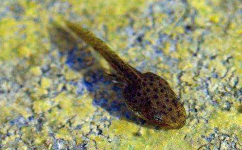 ��С����ҋ������̌W(xu��)�O(sh��)Ӌ(j��)�����x19ƪ��