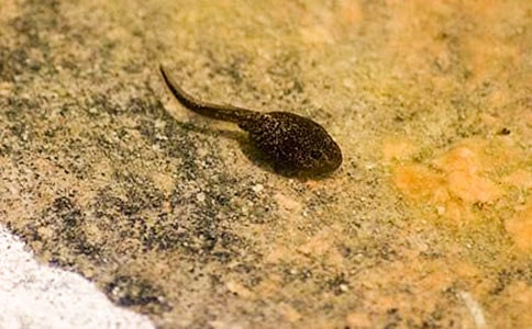 С����ҋ�����Ʒ�̌W(xu��)�O(sh��)Ӌ����