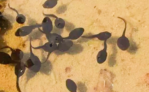 С����ҋ���400��