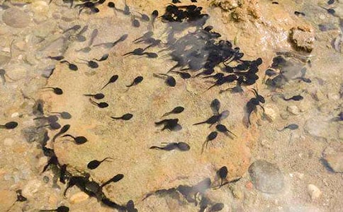 С����ҋ����̌W(xu��)�O(sh��)Ӌ(j��)