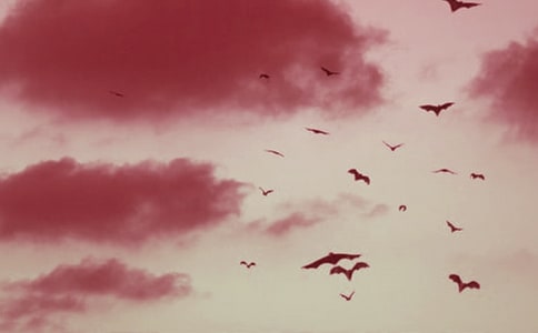 �n�ġ���������_(d��)����(y��u)��̌W(xu��)�O(sh��)Ӌ�����x10ƪ��