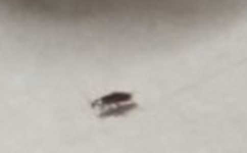 ������ͳ�һ���ģ�ͨ��10ƪ��