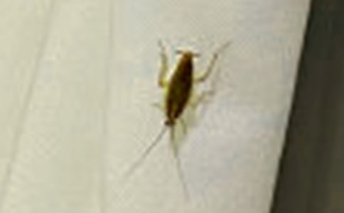 �����x���������300��9ƪ