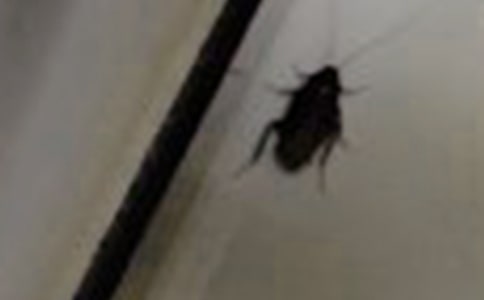 �ڼҴ��������500��