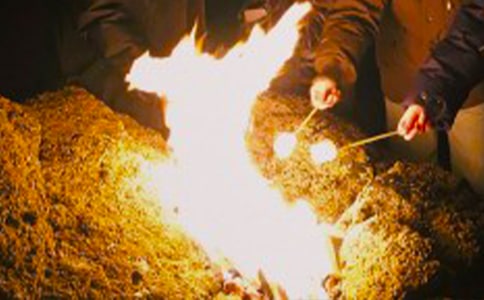 �P(gu��n)��ͬ�W(xu��)����������������~