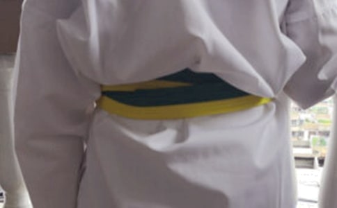 學(xué)跆拳道有感作文700字
