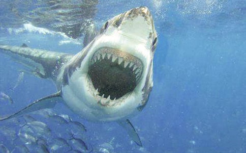 �P(gu��n)�����~������400�֣�ͨ��43ƪ��