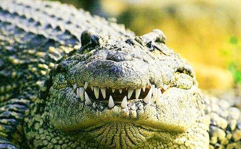 �茑�{�~�Ľ�(j��ng)������450�֣�ͨ��5ƪ��