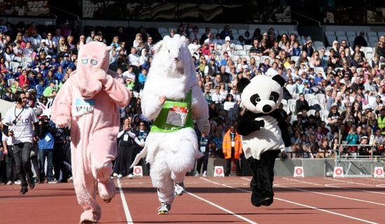 ����ِ�\(y��n)��(d��ng)��(hu��)�ļ��͸�